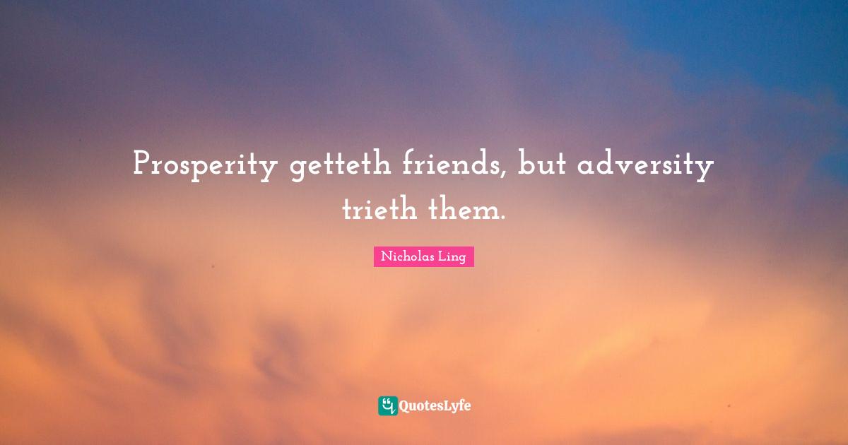 Prosperity getteth friends, but adversity trieth them.