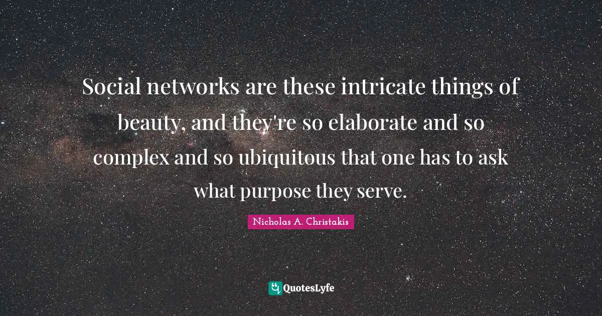 Social networks are these intricate things of beauty, and they're so elaborate and so complex and so ubiquitous that one has to ask what purpose they serve.