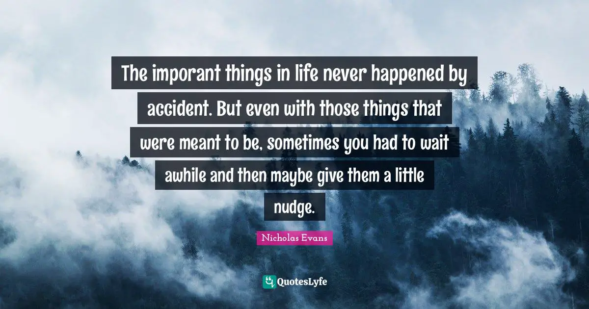 The imporant things in life never happened by accident. But even with those things that were meant to be, sometimes you had to wait awhile and then maybe give them a little nudge.