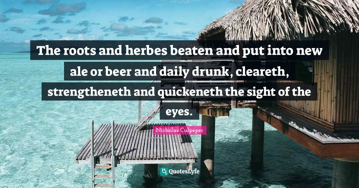 Drunk Quotes: "The roots and herbes beaten and put into new ale or beer and daily drunk, cleareth, strengtheneth and quickeneth the sight of the eyes."