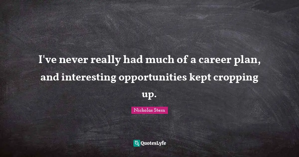 Nicholas Stern Quotes: "I've never really had much of a career plan, and interesting opportunities kept cropping up."