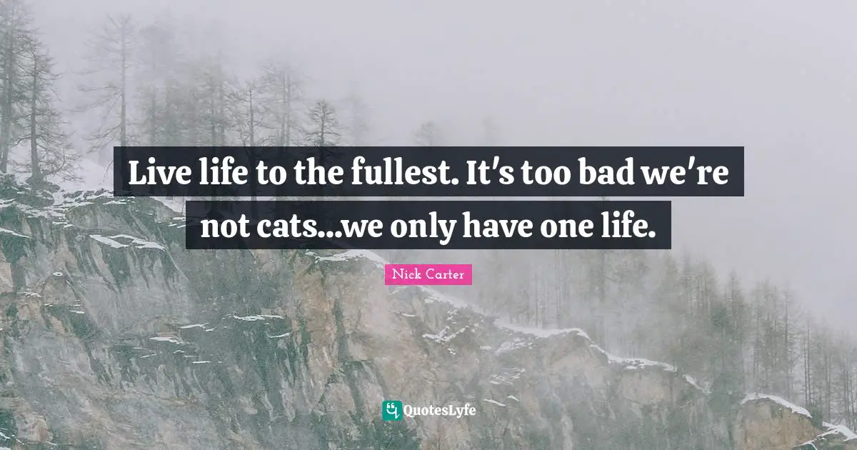 Live life to the fullest. It's too bad we're not cats...we only have one life.