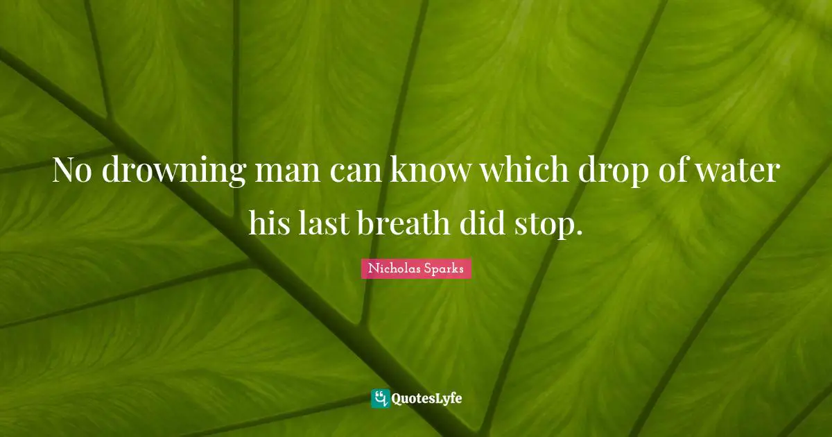 Drop Quotes: "No drowning man can know which drop of water his last breath did stop."
