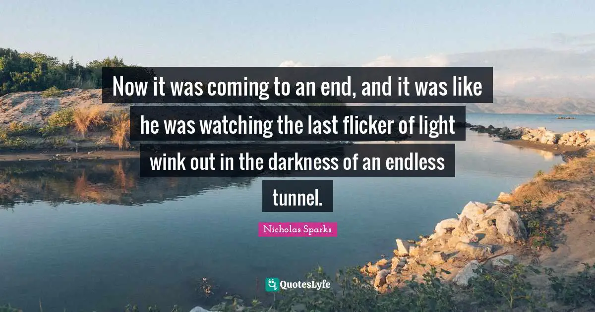 Now it was coming to an end, and it was like he was watching the last flicker of light wink out in the darkness of an endless tunnel.
