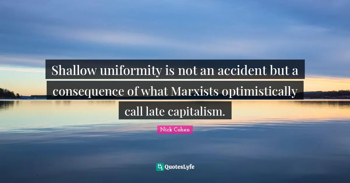 Shallow uniformity is not an accident but a consequence of what Marxists optimistically call late capitalism.