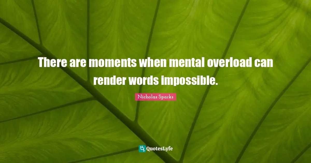 Overload Quotes: "There are moments when mental overload can render words impossible."