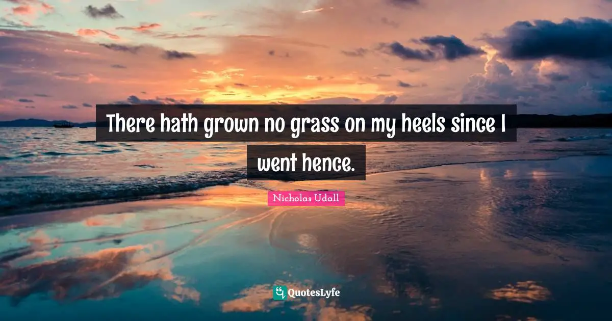 There hath grown no grass on my heels since I went hence.