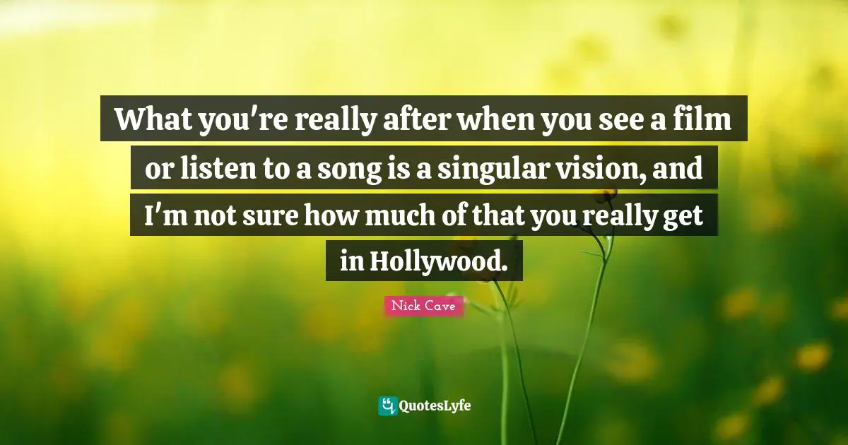 What you're really after when you see a film or listen to a song is a singular vision, and I'm not sure how much of that you really get in Hollywood.