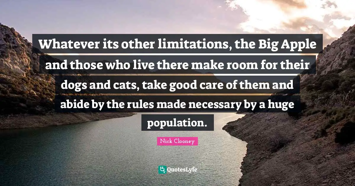 Whatever its other limitations, the Big Apple and those who live there make room for their dogs and cats, take good care of them and abide by the rules made necessary by a huge population.