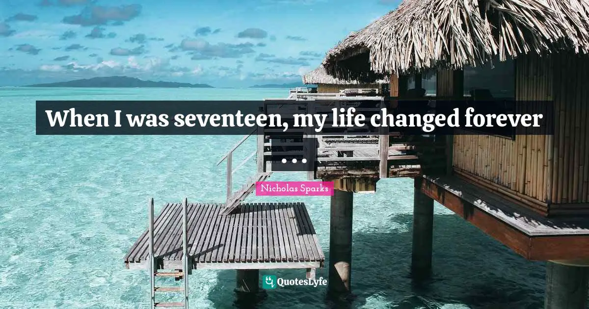 When I was seventeen, my life changed forever . . .