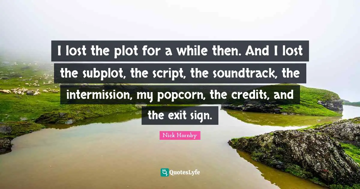 I lost the plot for a while then. And I lost the subplot, the script, the soundtrack, the intermission, my popcorn, the credits, and the exit sign.