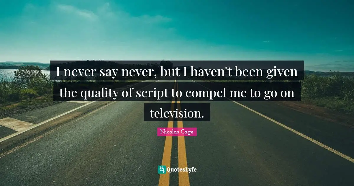 I never say never, but I haven't been given the quality of script to compel me to go on television.