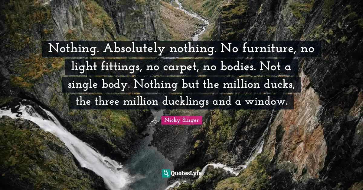 Nothing. Absolutely nothing. No furniture, no light fittings, no carpet, no bodies. Not a single body. Nothing but the million ducks, the three million ducklings and a window.