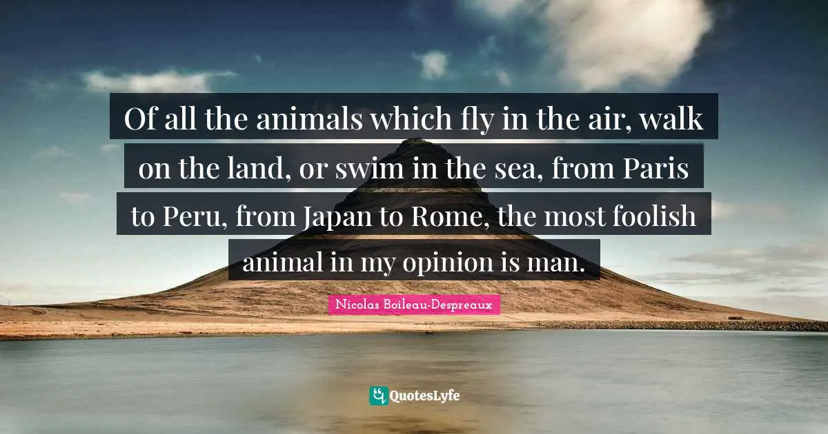 Japan Quotes: "Of all the animals which fly in the air, walk on the land, or swim in the sea, from Paris to Peru, from Japan to Rome, the most foolish animal in my opinion is man."
