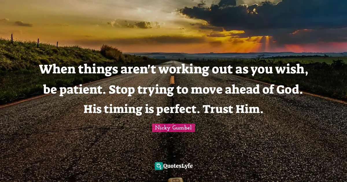 When things aren't working out as you wish, be patient. Stop trying to move ahead of God. His timing is perfect. Trust Him.