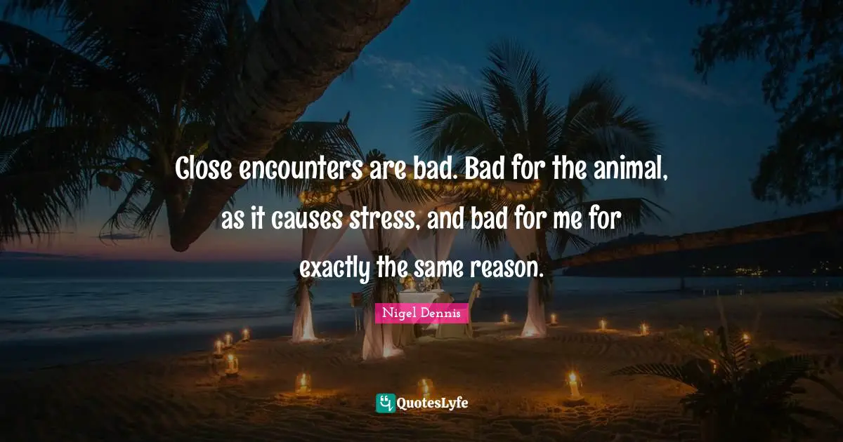 Close encounters are bad. Bad for the animal, as it causes stress, and bad for me for exactly the same reason.