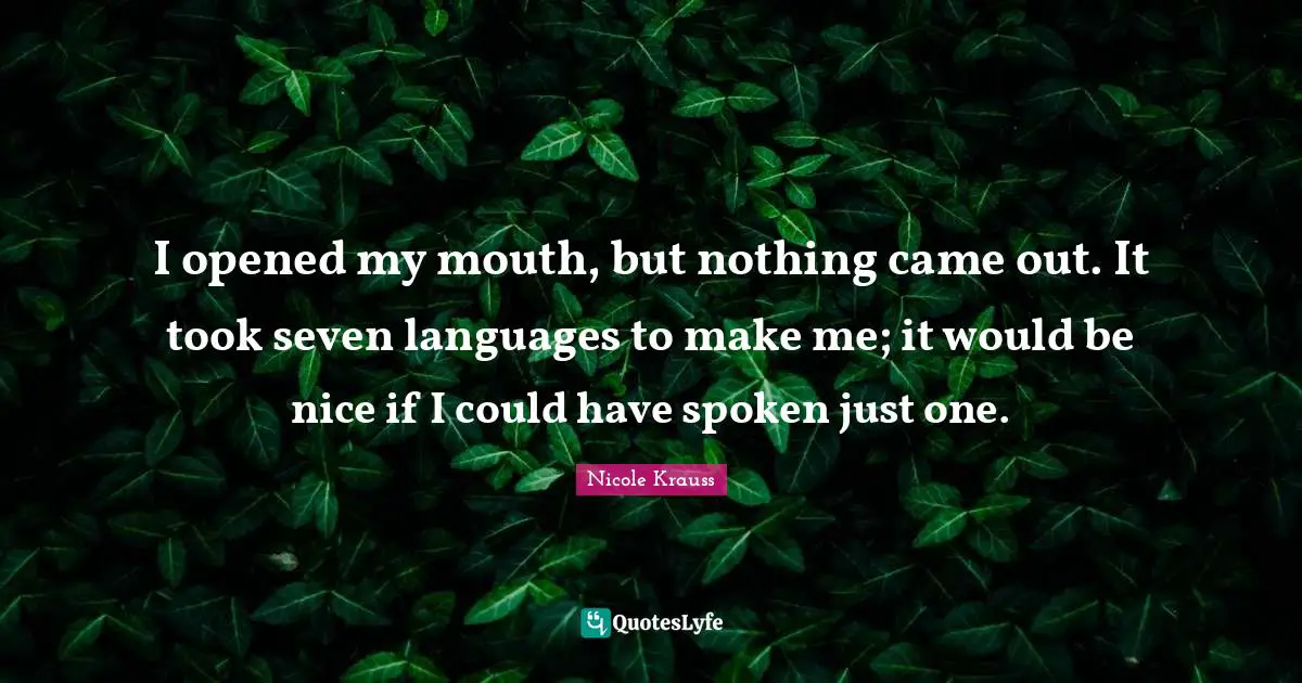 I opened my mouth, but nothing came out. It took seven languages to make me; it would be nice if I could have spoken just one.