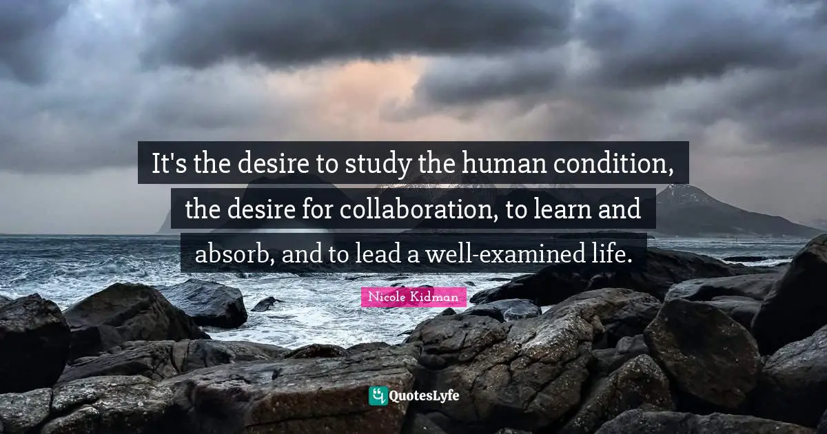 It's the desire to study the human condition, the desire for collaboration, to learn and absorb, and to lead a well-examined life.