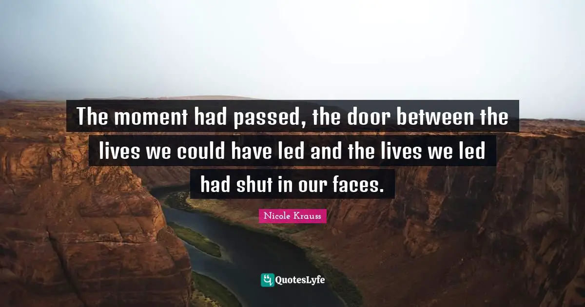 The moment had passed, the door between the lives we could have led and the lives we led had shut in our faces.