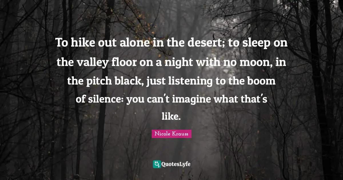 To hike out alone in the desert; to sleep on the valley floor on a night with no moon, in the pitch black, just listening to the boom of silence: you can't imagine what that's like.