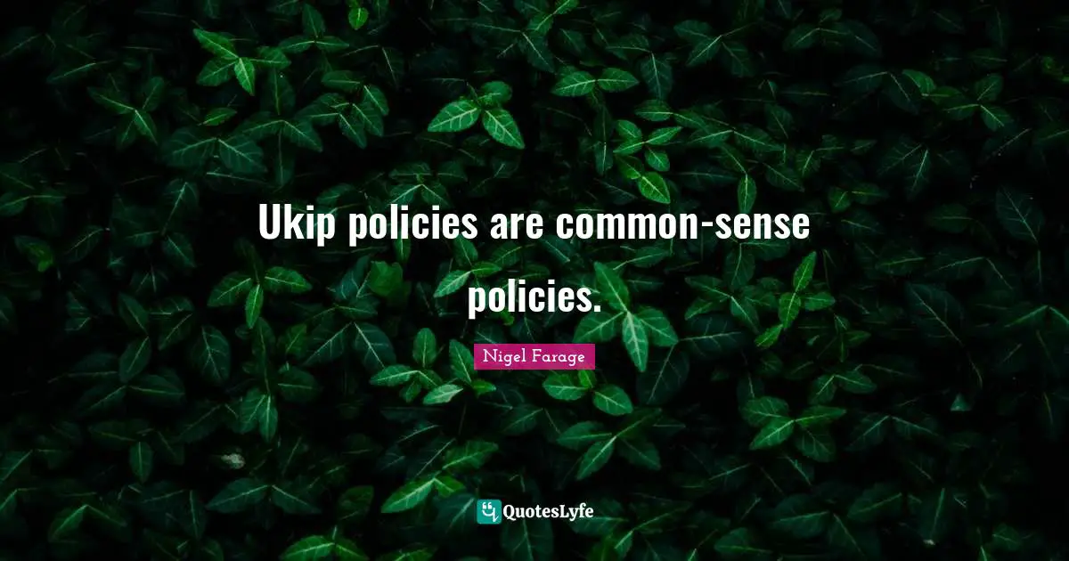 Ukip policies are common-sense policies.