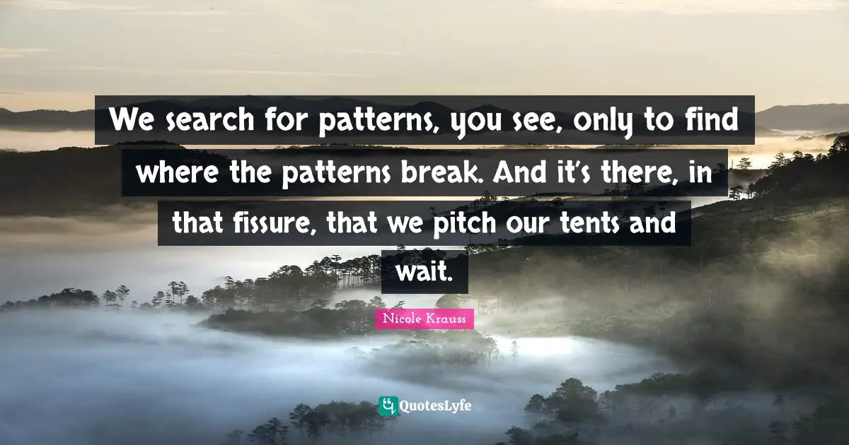 We search for patterns, you see, only to find where the patterns break. And it’s there, in that fissure, that we pitch our tents and wait.