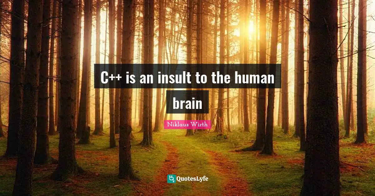 C++ is an insult to the human brain