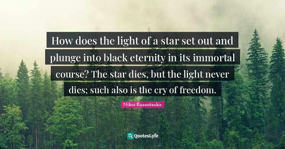 How does the light of a star set out and plunge into black eternity in its immortal course? The star dies, but the light never dies; such also is the cry of freedom.
