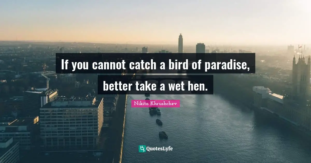 If you cannot catch a bird of paradise, better take a wet hen.