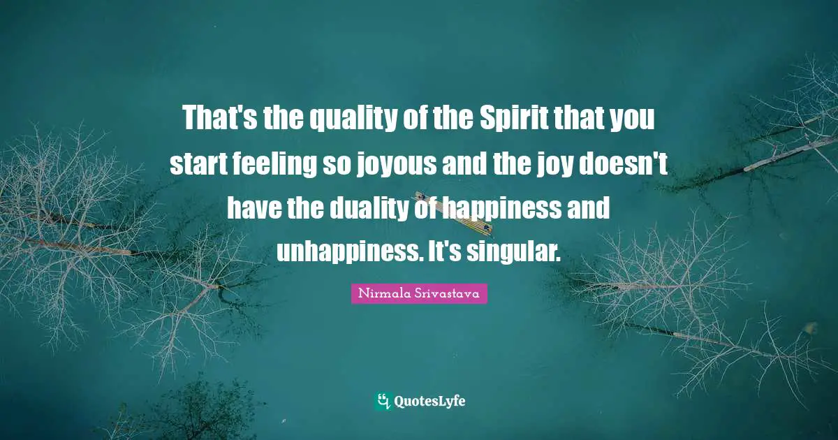 That's the quality of the Spirit that you start feeling so joyous and the joy doesn't have the duality of happiness and unhappiness. It's singular.