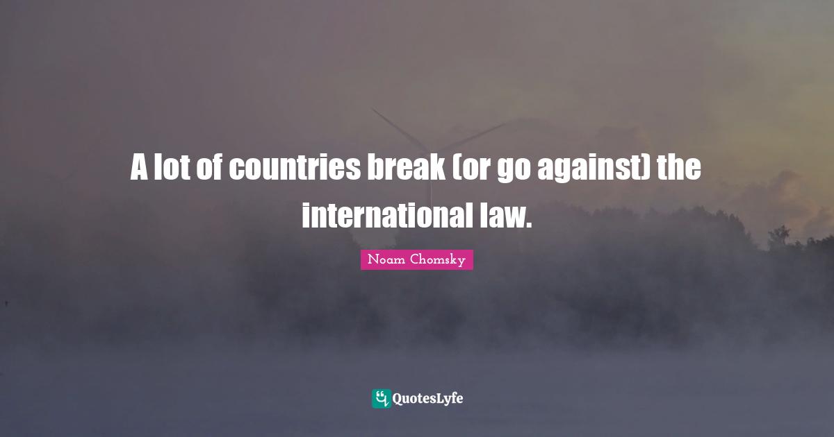 A lot of countries break (or go against) the international law.
