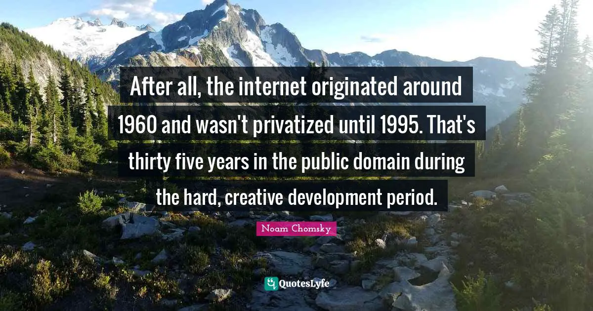 After all, the internet originated around 1960 and wasn't privatized until 1995. That's thirty five years in the public domain during the hard, creative development period.
