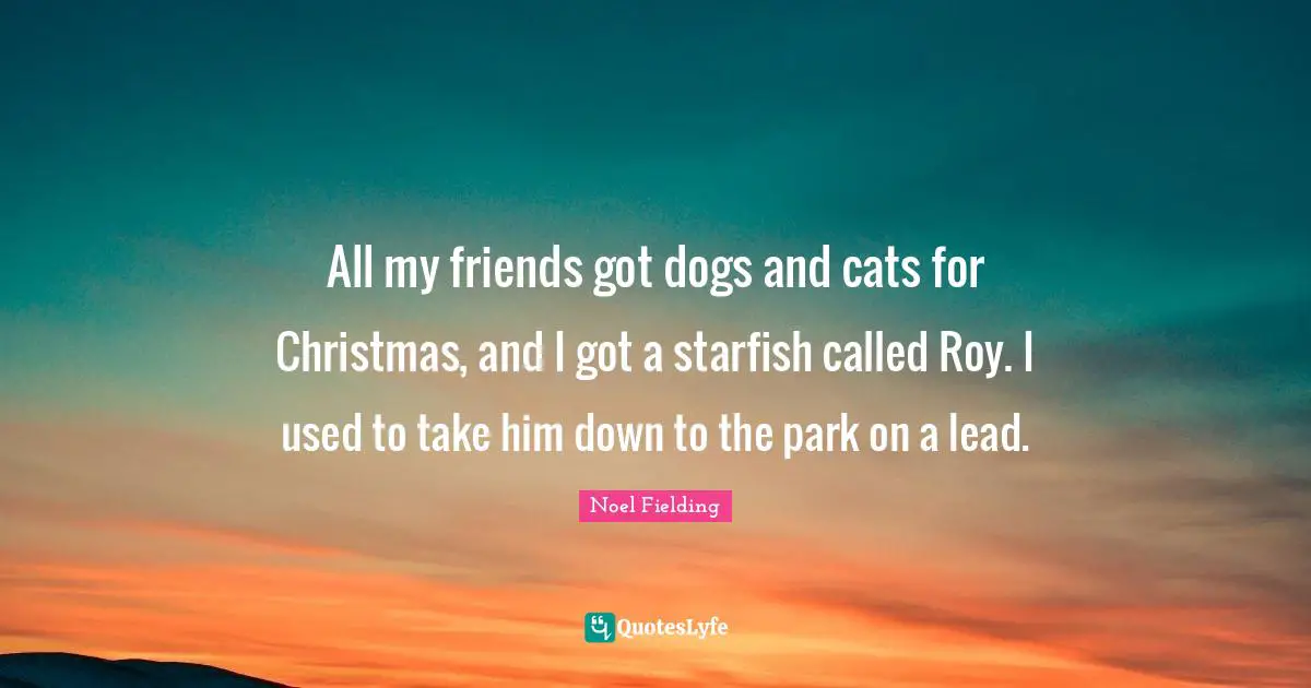 Noel Fielding Quotes: "All my friends got dogs and cats for Christmas, and I got a starfish called Roy. I used to take him down to the park on a lead."