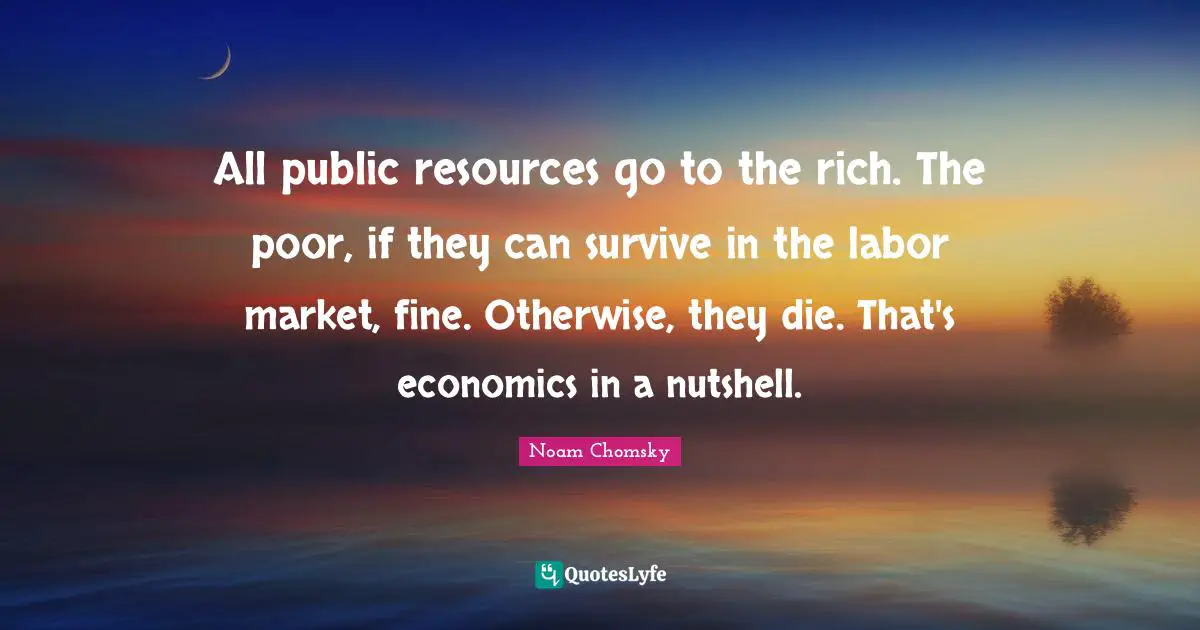 All public resources go to the rich. The poor, if they can survive in the labor market, fine. Otherwise, they die. That's economics in a nutshell.