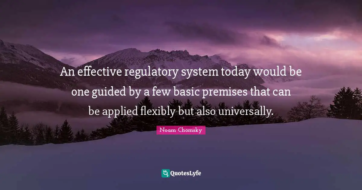 An effective regulatory system today would be one guided by a few basic premises that can be applied flexibly but also universally.