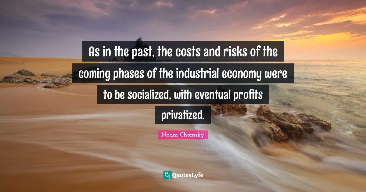 As in the past, the costs and risks of the coming phases of the industrial economy were to be socialized, with eventual profits privatized.