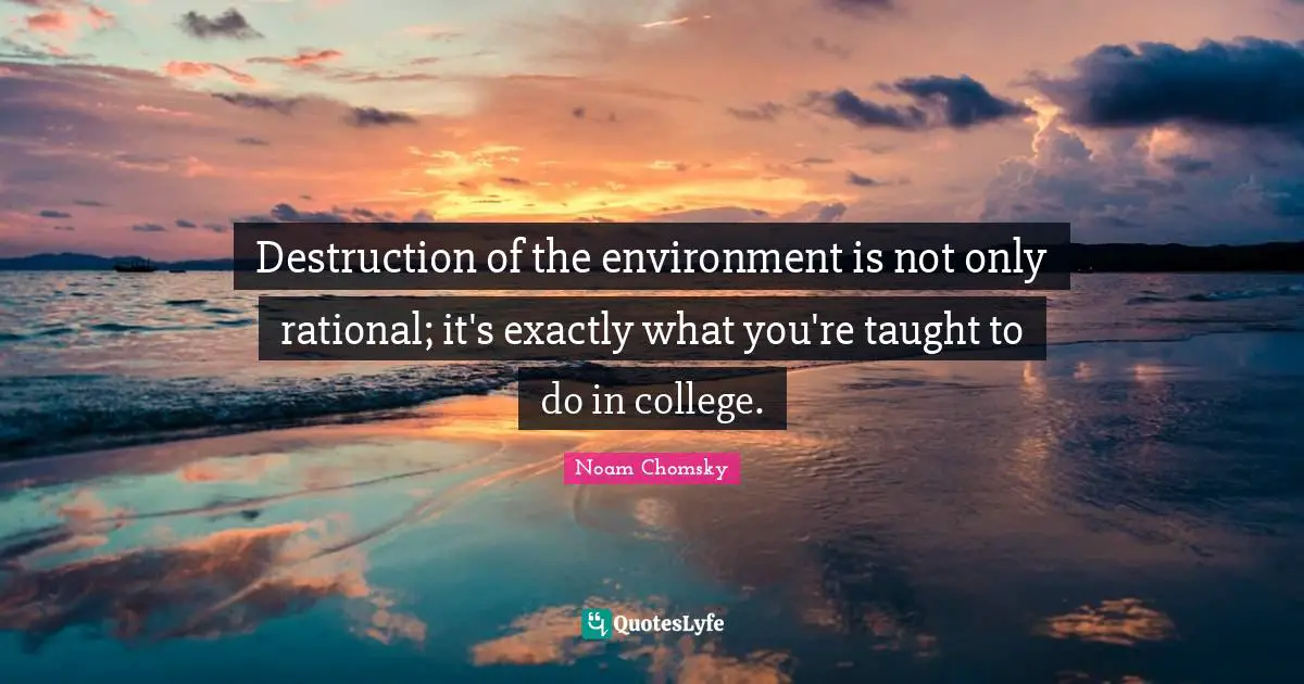 Destruction of the environment is not only rational; it's exactly what you're taught to do in college.