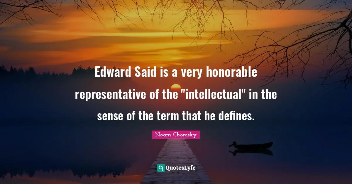 Edward Said is a very honorable representative of the "intellectual" in the sense of the term that he defines.