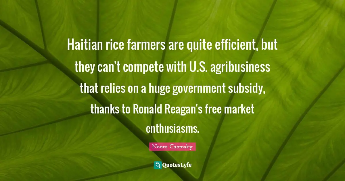Haitian rice farmers are quite efficient, but they can't compete with U.S. agribusiness that relies on a huge government subsidy, thanks to Ronald Reagan's free market enthusiasms.