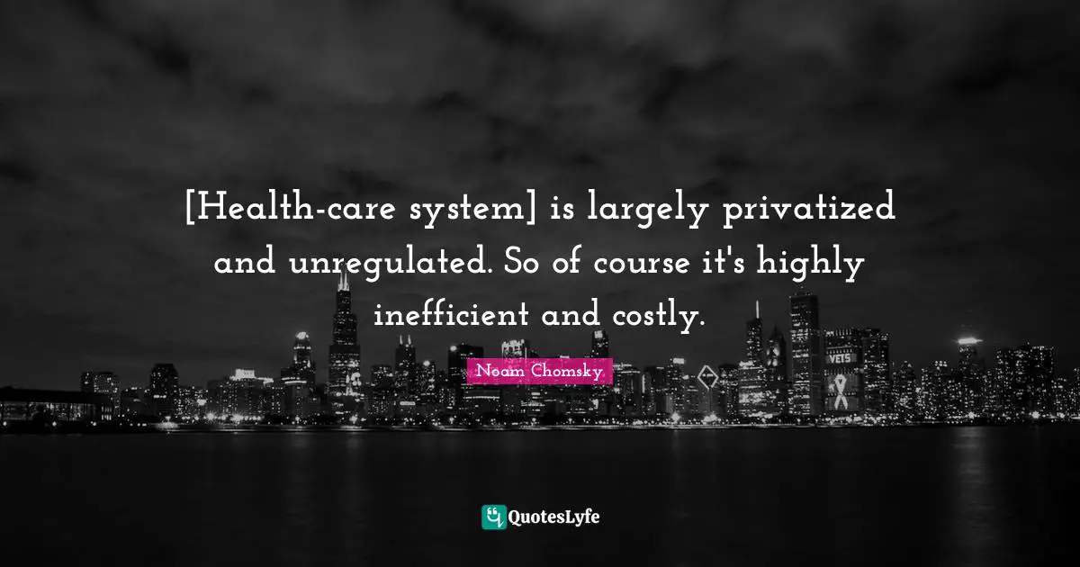 [Health-care system] is largely privatized and unregulated. So of course it's highly inefficient and costly.