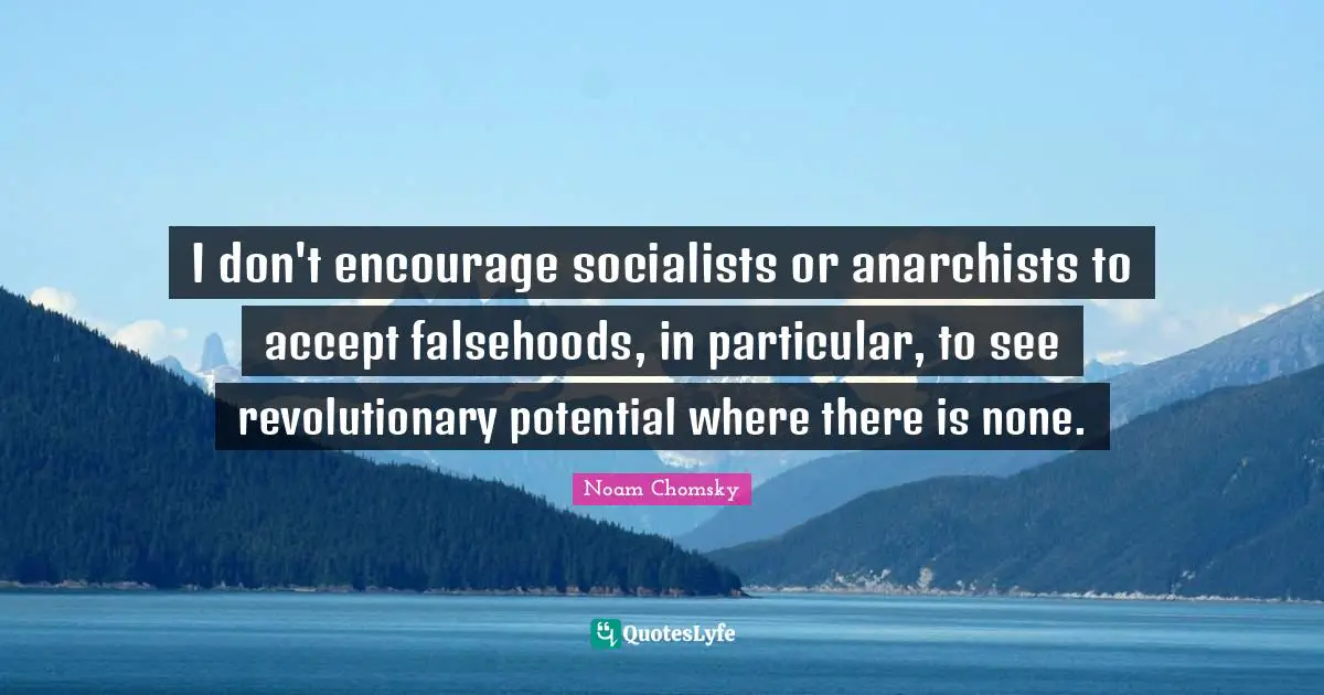 I don't encourage socialists or anarchists to accept falsehoods, in particular, to see revolutionary potential where there is none.