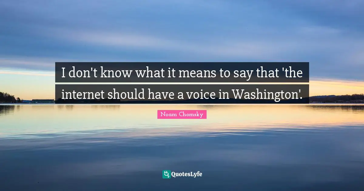 I don't know what it means to say that 'the internet should have a voice in Washington'.