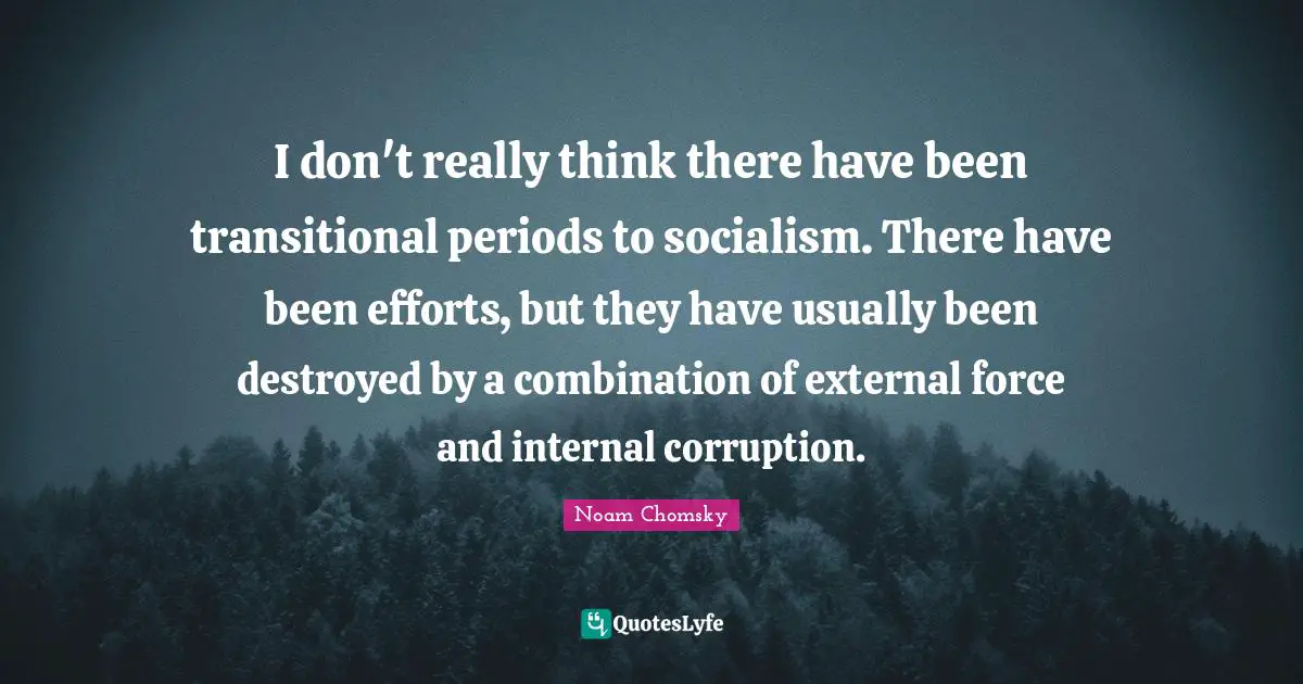 I don't really think there have been transitional periods to socialism. There have been efforts, but they have usually been destroyed by a combination of external force and internal corruption.