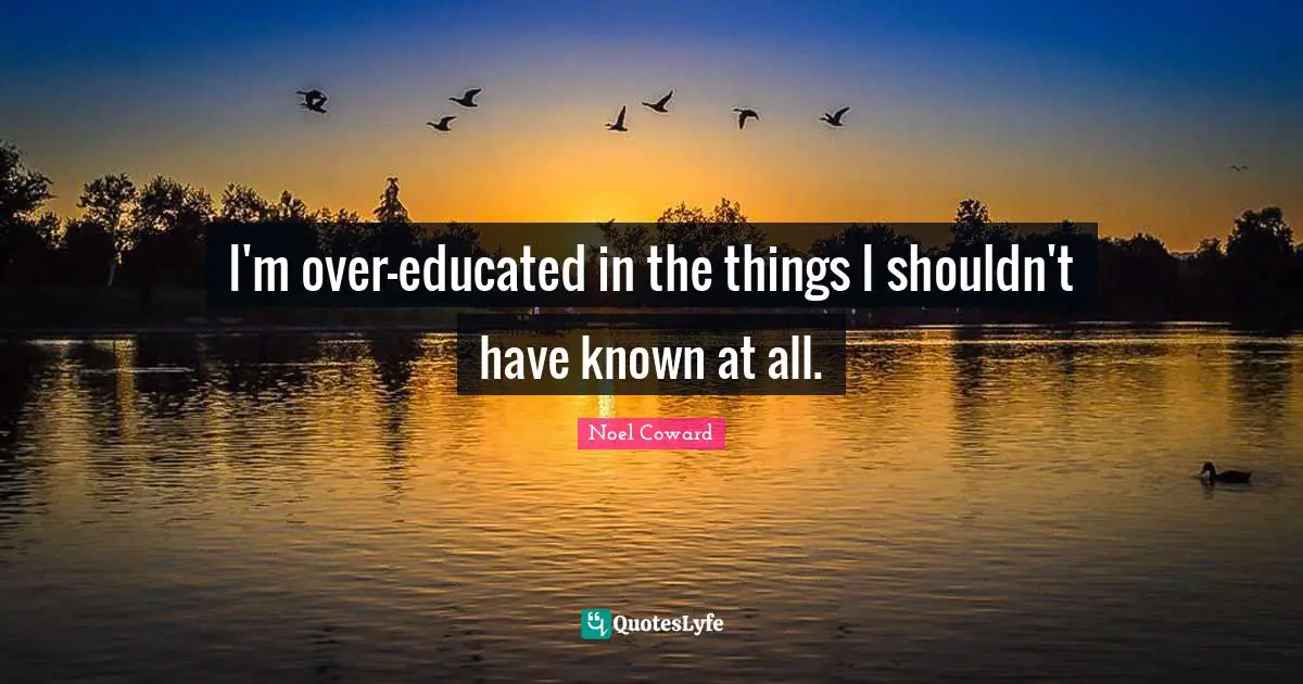 I'm over-educated in the things I shouldn't have known at all.