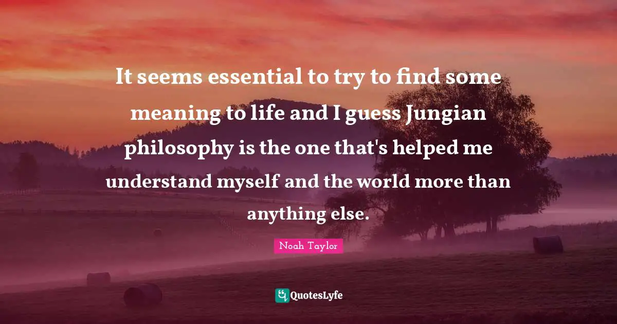 It seems essential to try to find some meaning to life and I guess Jungian philosophy is the one that's helped me understand myself and the world more than anything else.