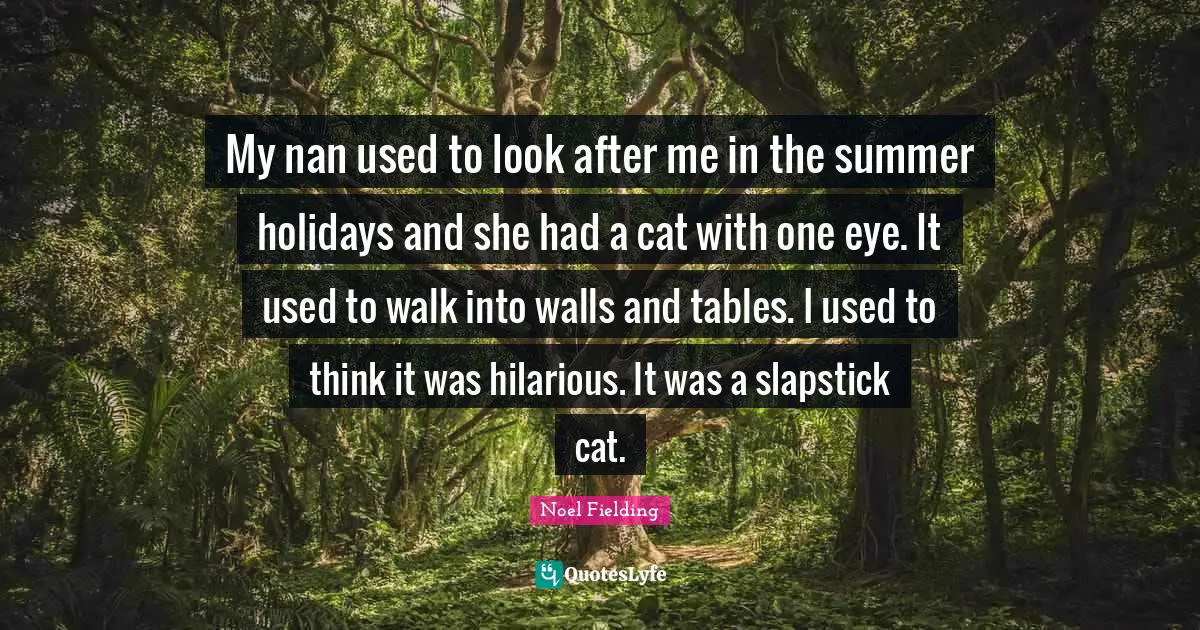 Noel Fielding Quotes: "My nan used to look after me in the summer holidays and she had a cat with one eye. It used to walk into walls and tables. I used to think it was hilarious. It was a slapstick cat."