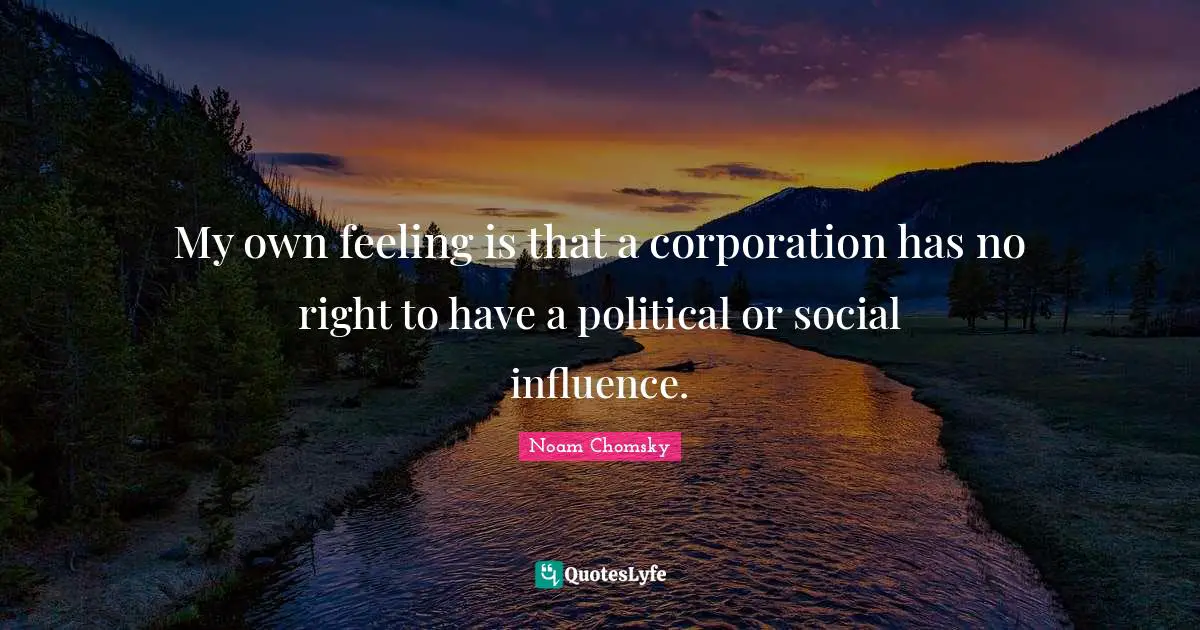 My own feeling is that a corporation has no right to have a political or social influence.