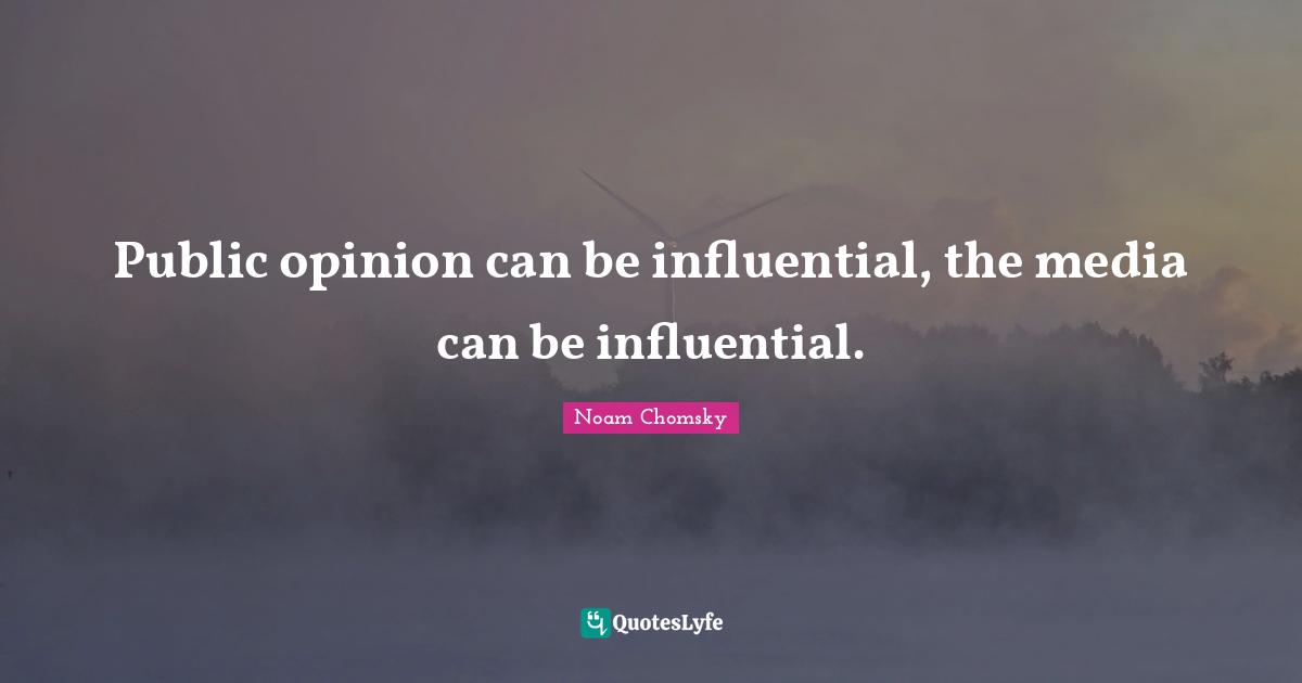 Public opinion can be influential, the media can be influential.