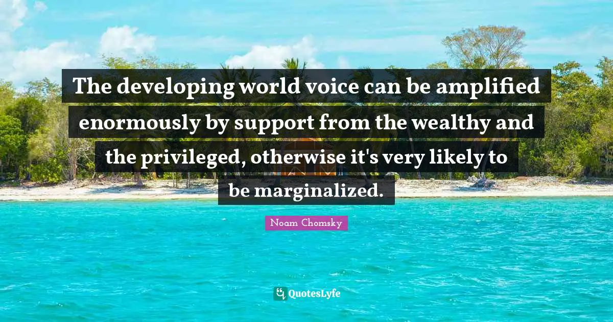 The developing world voice can be amplified enormously by support from the wealthy and the privileged, otherwise it's very likely to be marginalized.