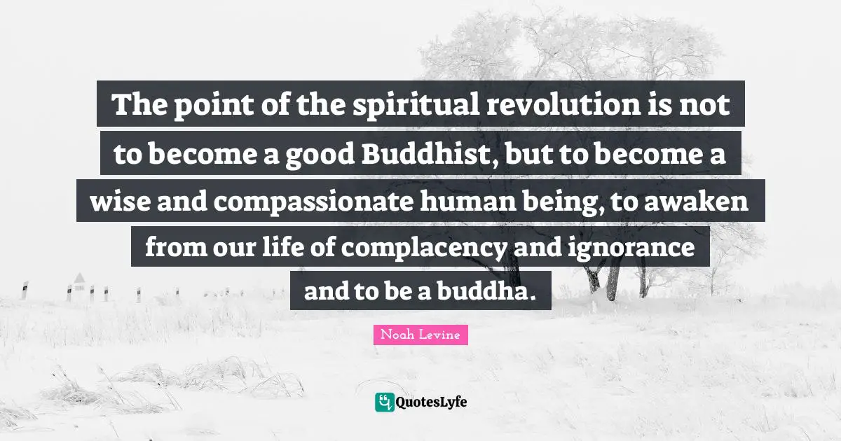 The point of the spiritual revolution is not to become a good Buddhist, but to become a wise and compassionate human being, to awaken from our life of complacency and ignorance and to be a buddha.